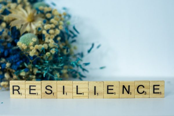 career development resilience