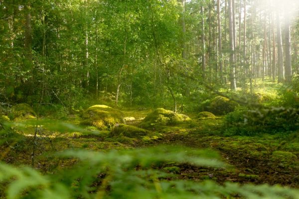 environmental adaptation physical