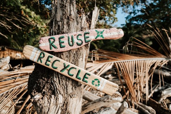 environmental cues sustainable