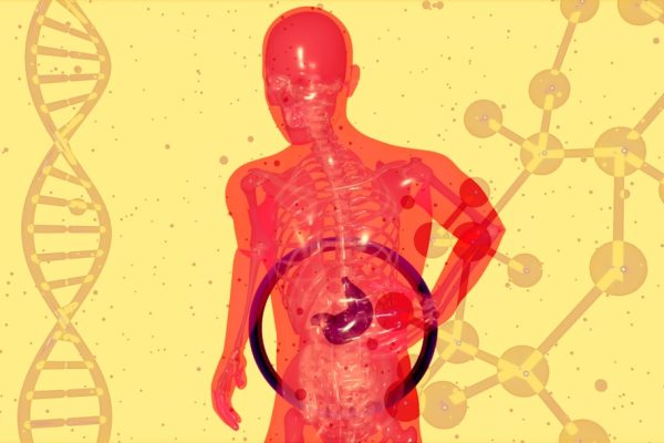 gut health cardiovascular