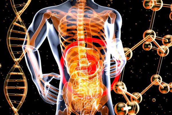 gut health optimization
