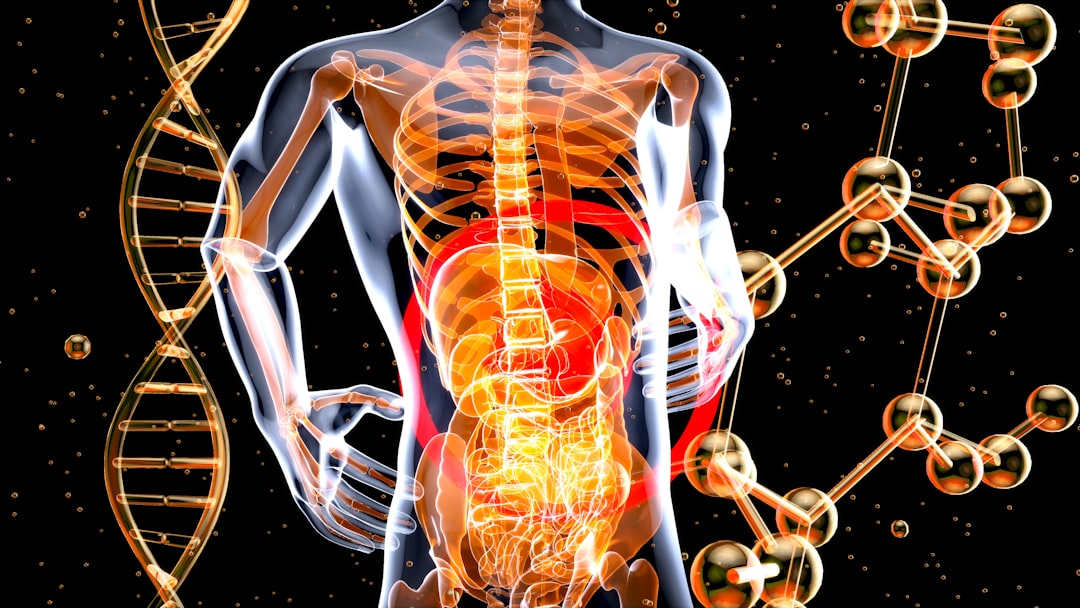gut health optimization