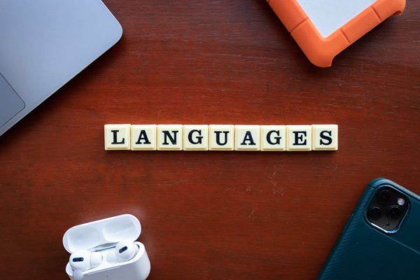 local large language