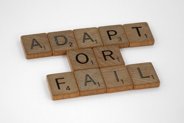 mental adaptability