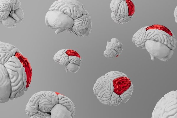micro-habits brainpower cognitive