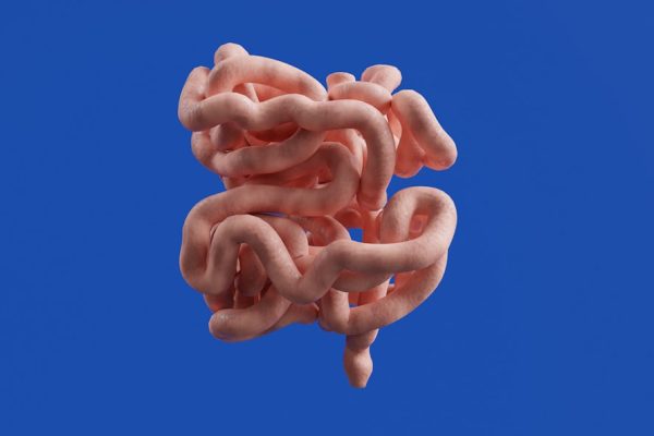 microbiome-sympathetic movement gut